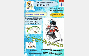 CIRCUIT DES GRANITIERS A PLELAUFF